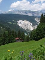 Alpen-Wiese Berge Ăsterreich